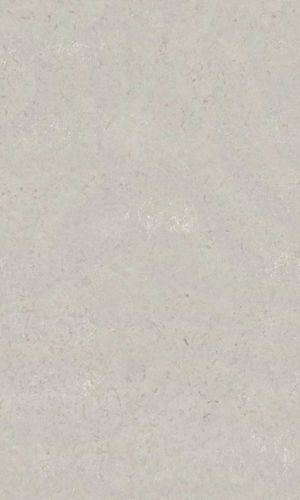 Motion Grey